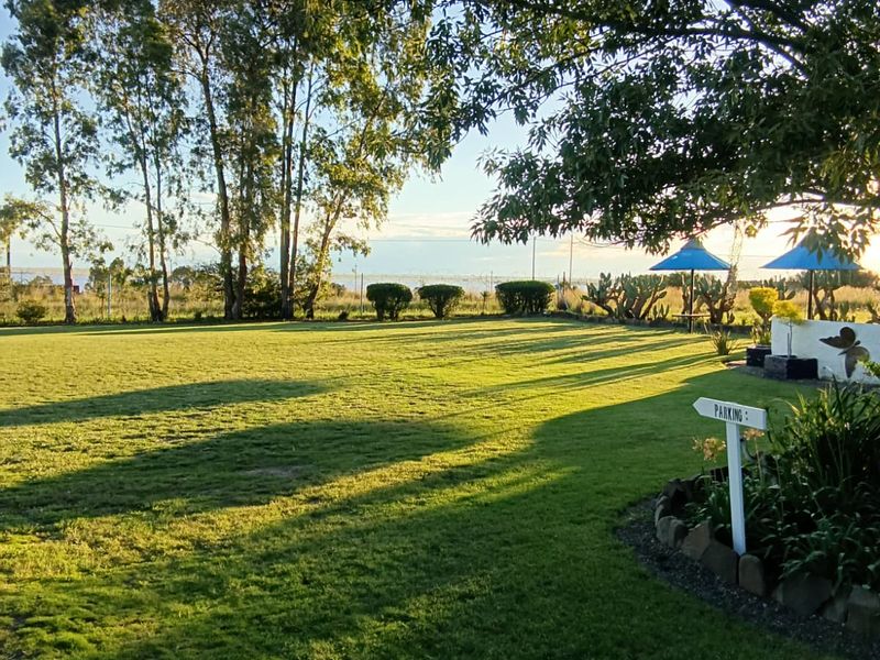 !Investor Focus! - Photo 1