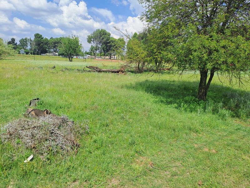 PRIME RESIDENTIAL STANDS FOR SALE IN RIVERSDALE, MEYERTON. - Photo 5