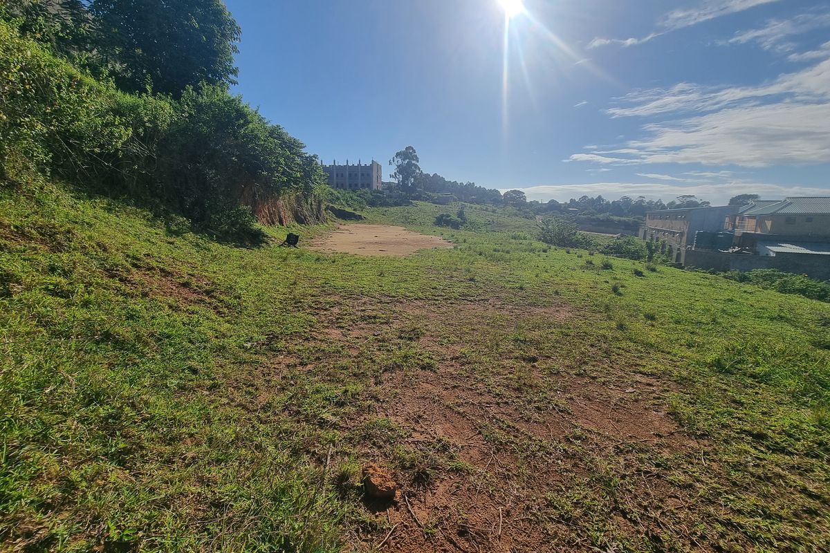Land For Sale - Photo 3