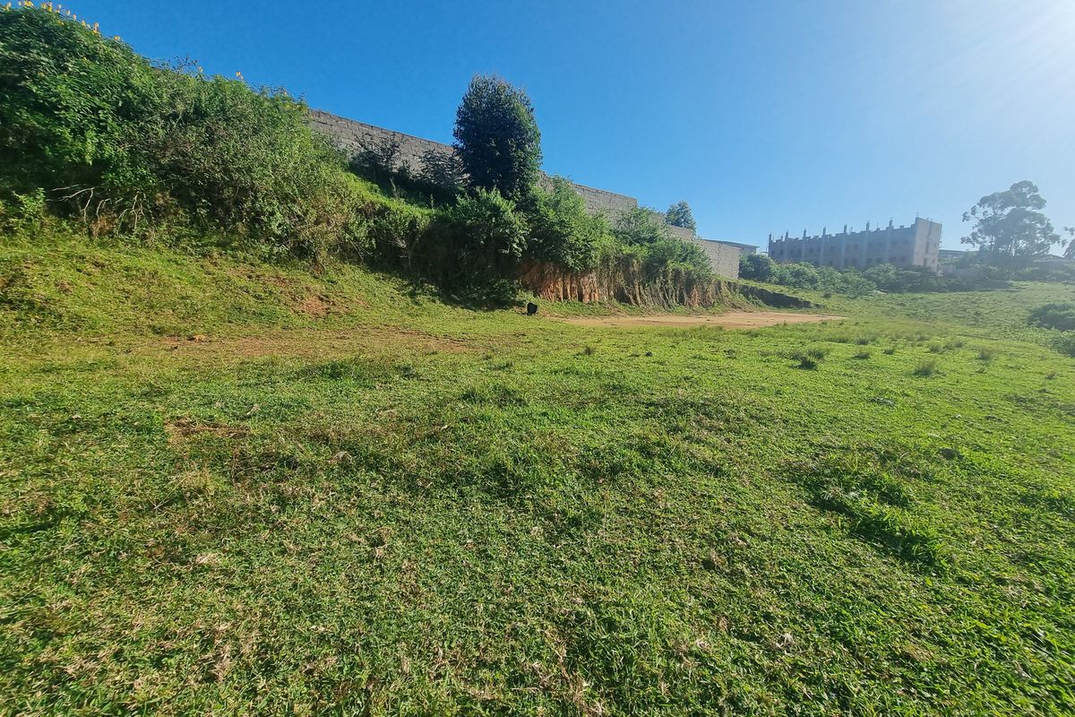 Land For Sale - Photo 4