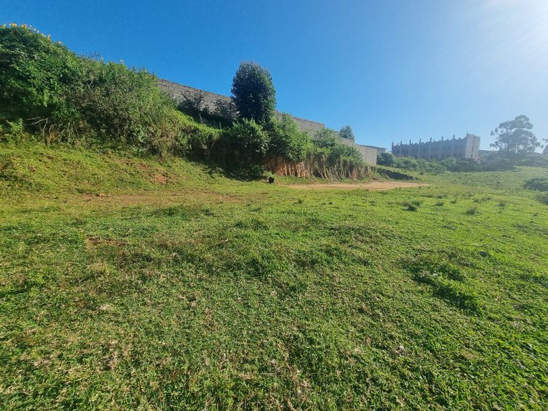 Land For Sale - Photo 4