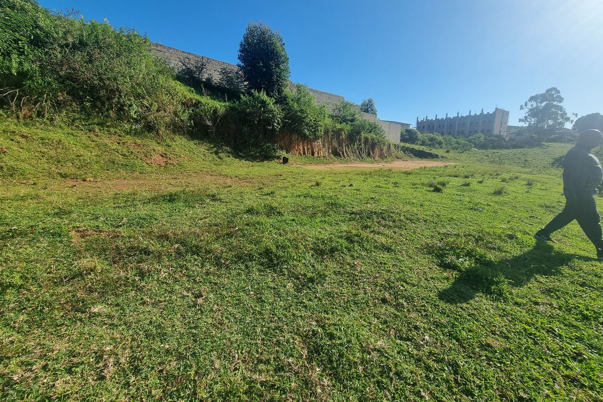 Land For Sale - Photo 5