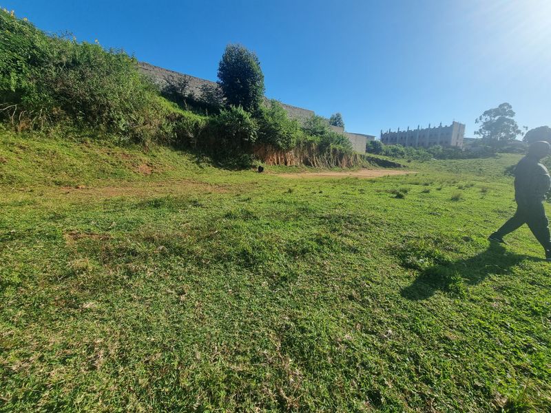 Land For Sale - Photo 5