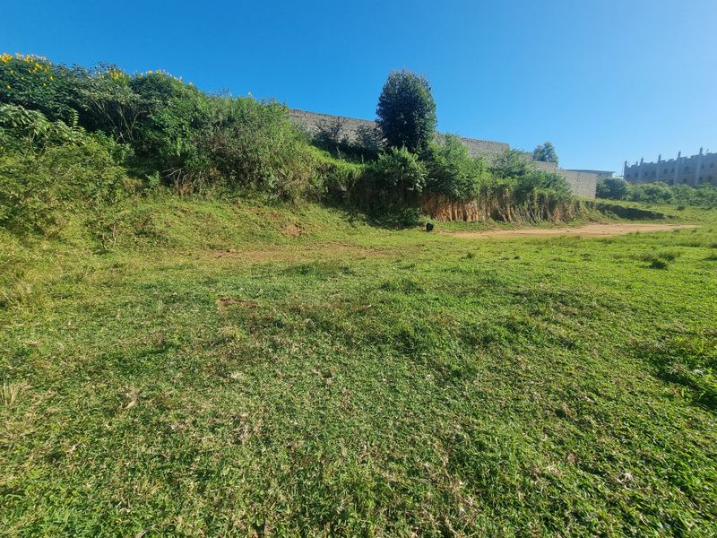 Land For Sale - Photo 7