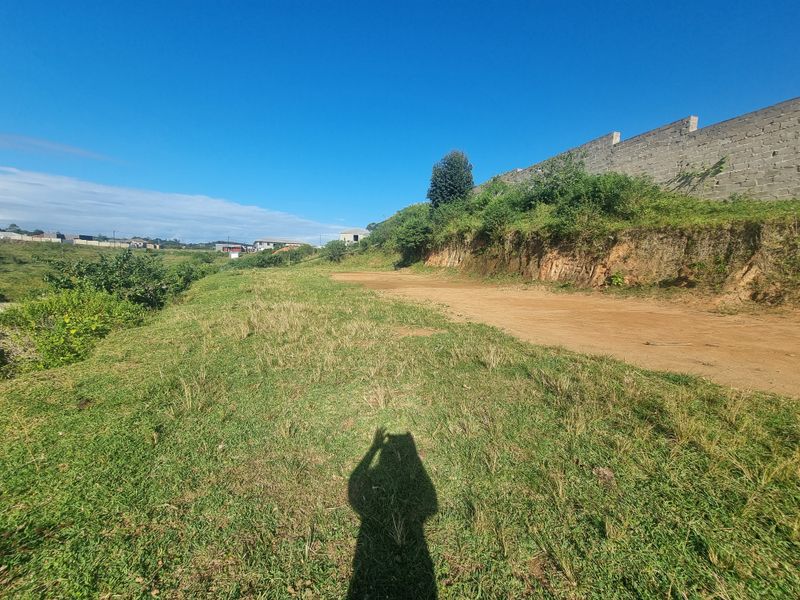 Land For Sale - Photo 6