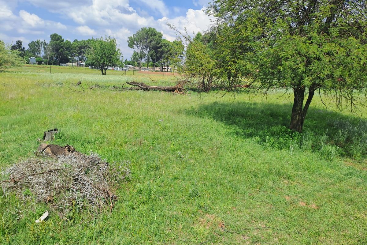 PRIME RESIDENTIAL STANDS FOR SALE IN RIVERSDALE, MEYERTON. - Photo 5
