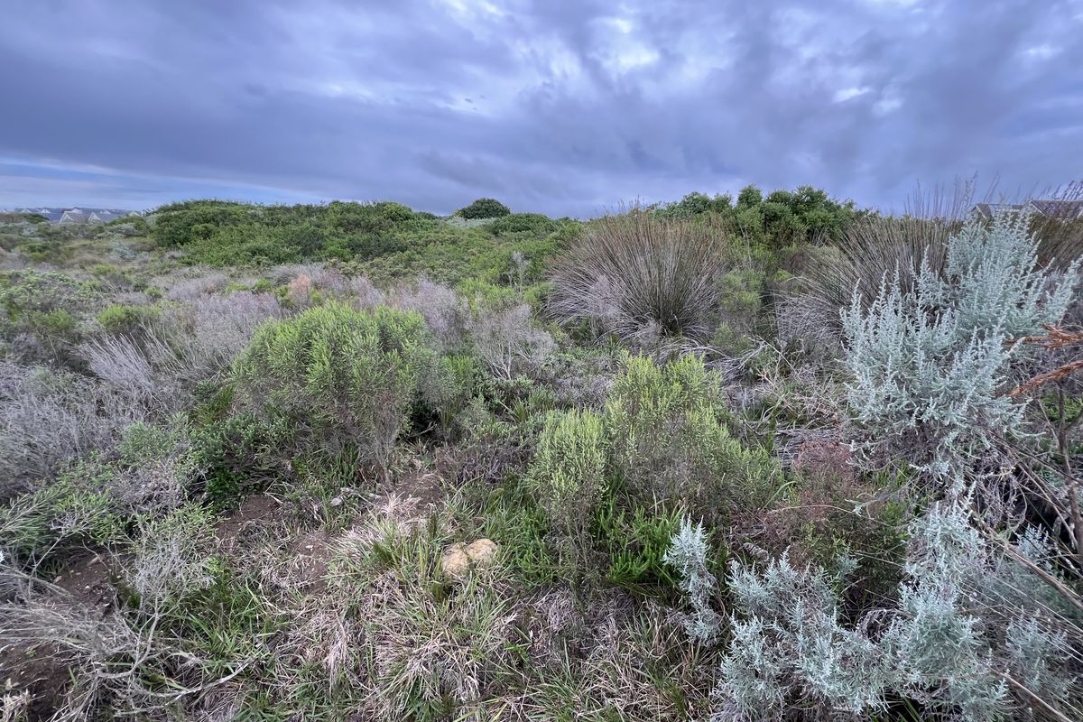 Vacant Stand Close to all Amenities - St Francis Links - Photo 4