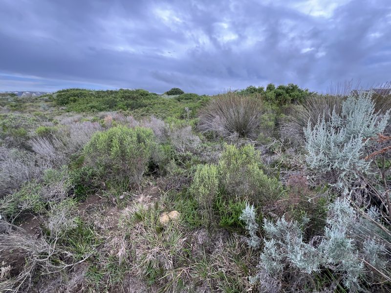 Vacant Stand Close to all Amenities - St Francis Links - Photo 4