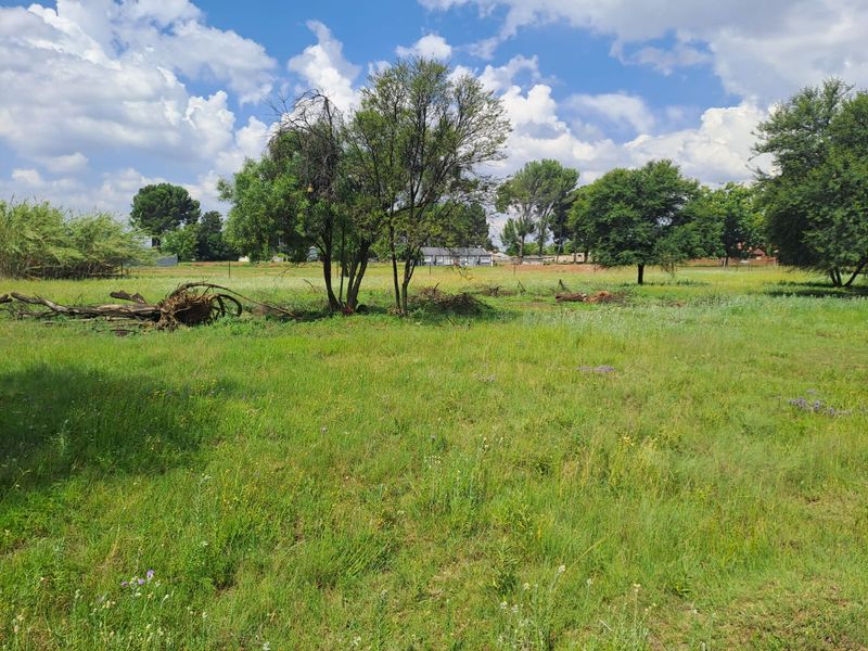 PRIME RESIDENTIAL STANDS FOR SALE IN RIVERSDALE, MEYERTON. - Photo 6