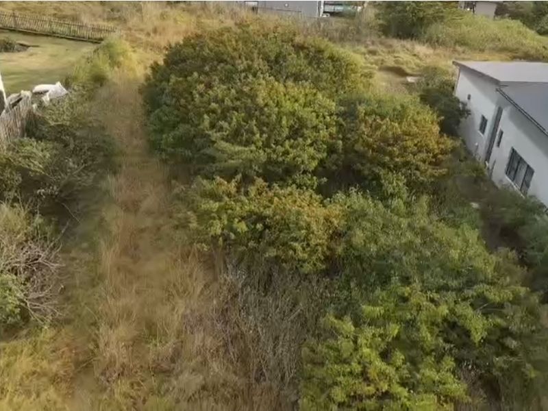 An aerial view of a vacant residential plot featuring dense, overgrown vegetation situated between existing neighboring properties.