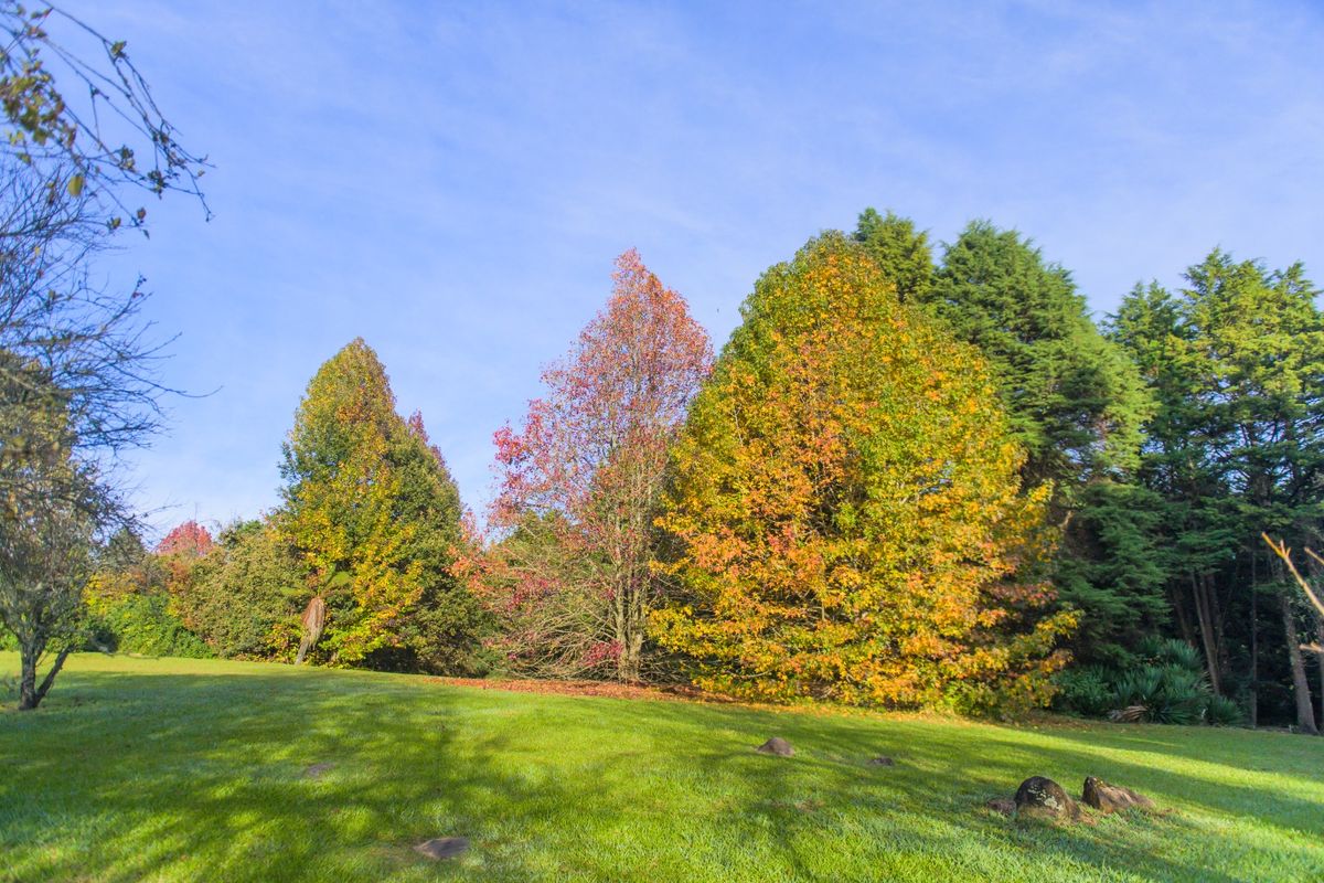 Boutique Estate Stand for Sale in Nottingham Road Midlands Adjacent to Michaelhouse - Photo 4