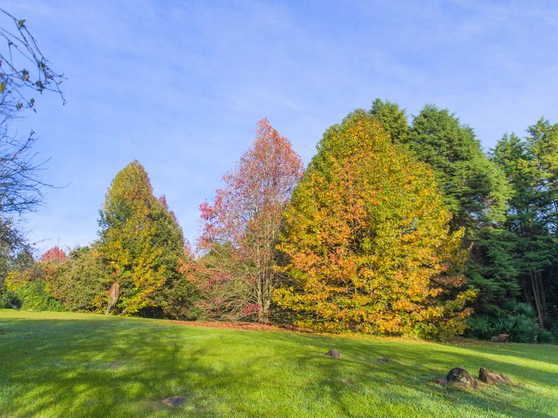 Boutique Estate Stand for Sale in Nottingham Road Midlands Adjacent to Michaelhouse - Photo 4