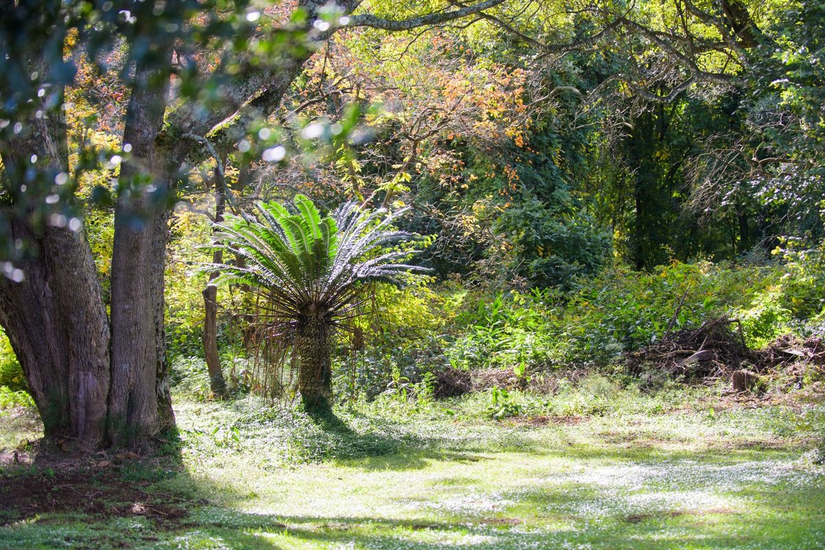 Boutique Estate Stand for Sale in Nottingham Road Midlands Adjacent to Michaelhouse - Photo 4