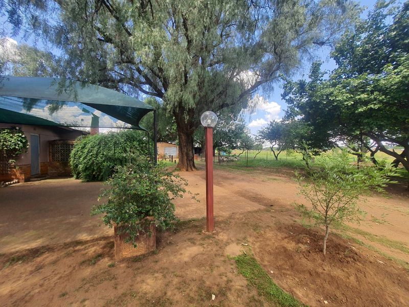 Beautiful Plot With Endless Potential For Sale. - Photo 6