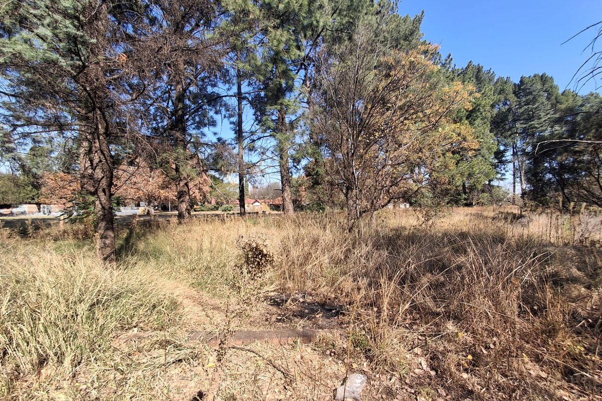 Prime 2Ha Investment Land in Unita Park, Vereenigin. - Photo 4