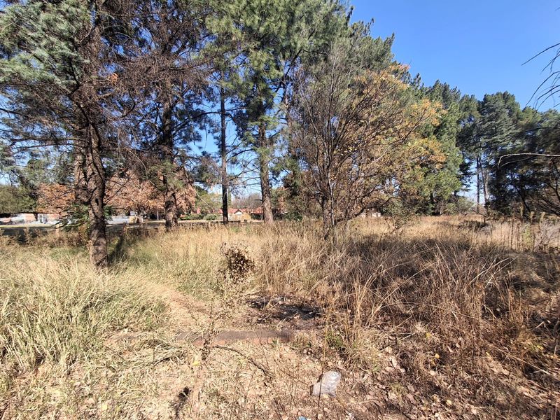 Prime 2Ha Investment Land in Unita Park, Vereenigin. - Photo 4