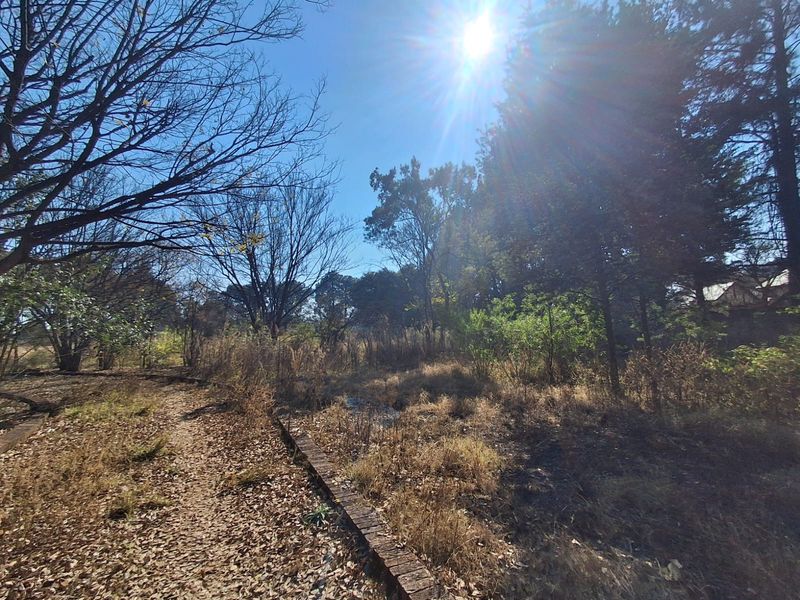 Prime 2Ha Investment Land in Unita Park, Vereenigin. - Photo 3