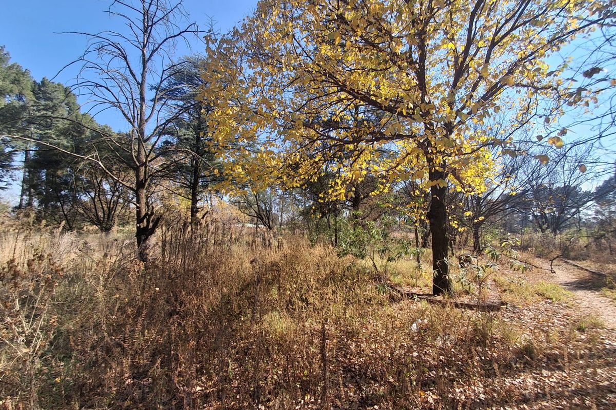 Prime 2Ha Investment Land in Unita Park, Vereenigin. - Photo 2