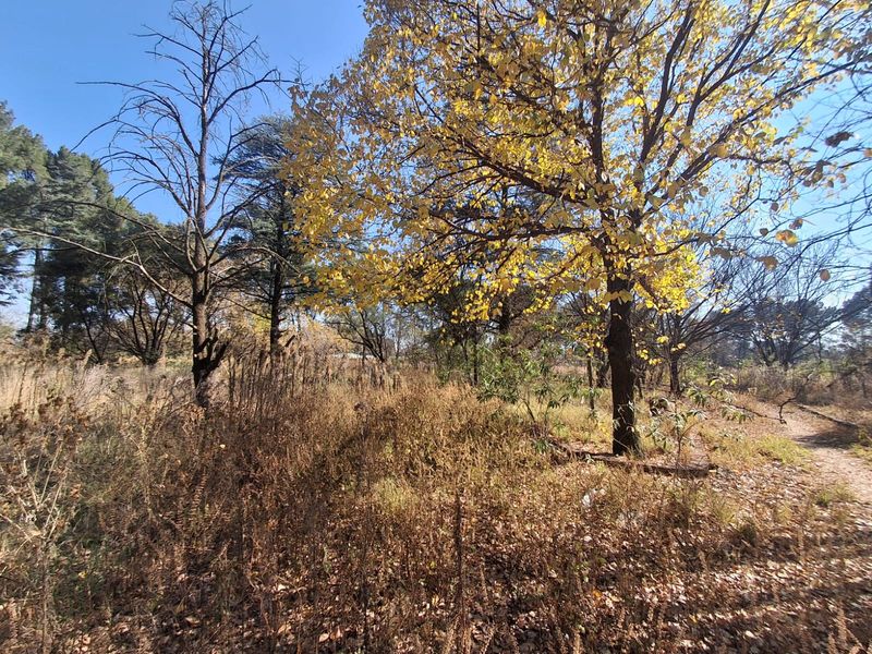 Prime 2Ha Investment Land in Unita Park, Vereenigin. - Photo 2
