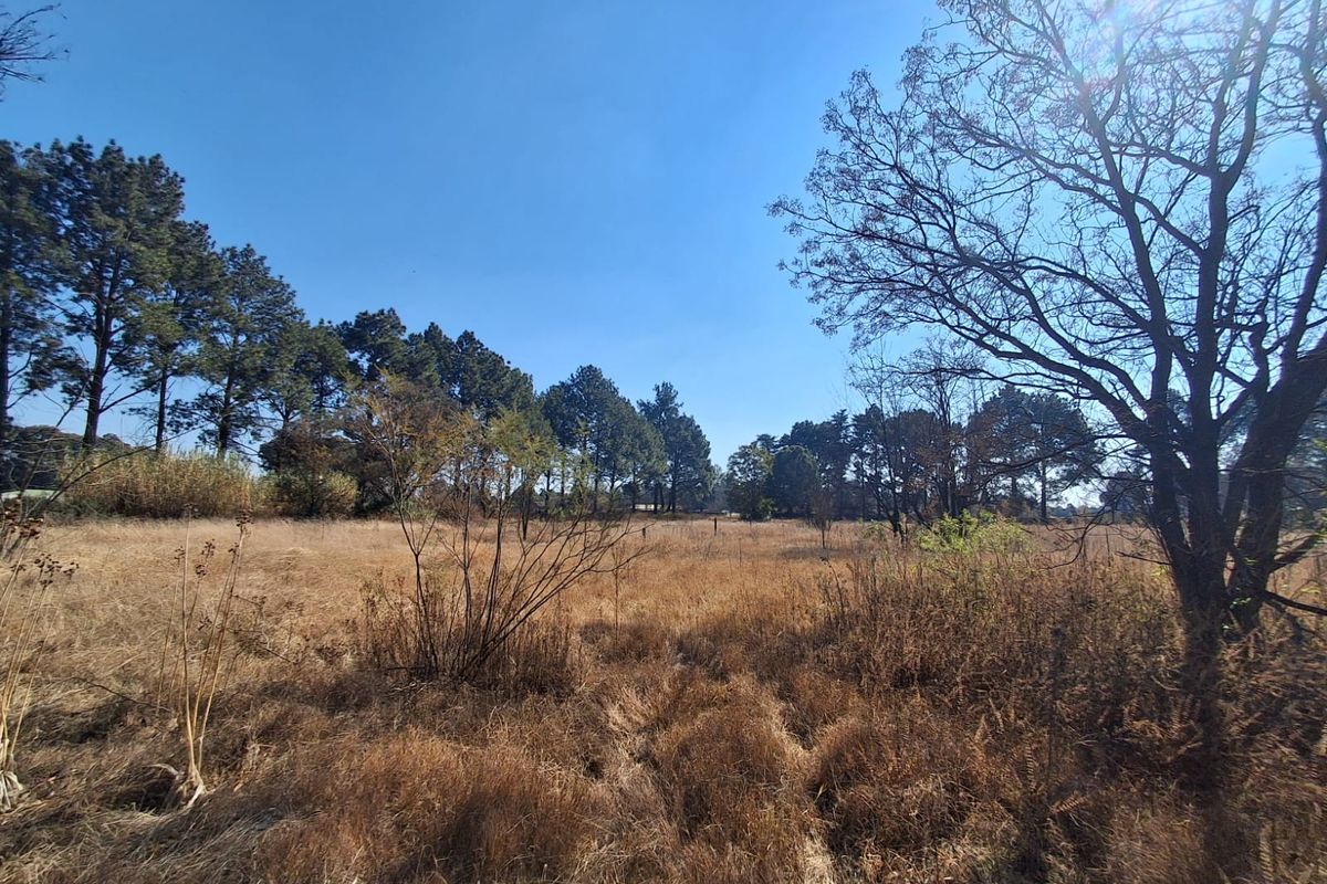 Prime 2Ha Investment Land in Unita Park, Vereenigin. - Photo 5