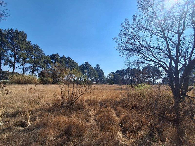 Prime 2Ha Investment Land in Unita Park, Vereenigin. - Photo 5