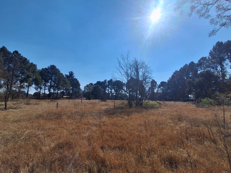 Prime 2Ha Investment Land in Unita Park, Vereenigin. - Photo 9
