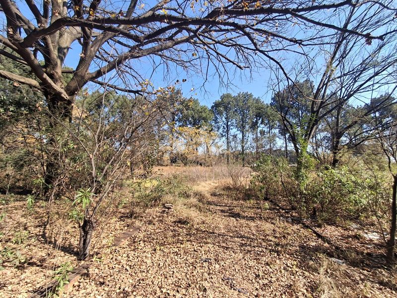 Prime 2Ha Investment Land in Unita Park, Vereenigin. - Photo 8