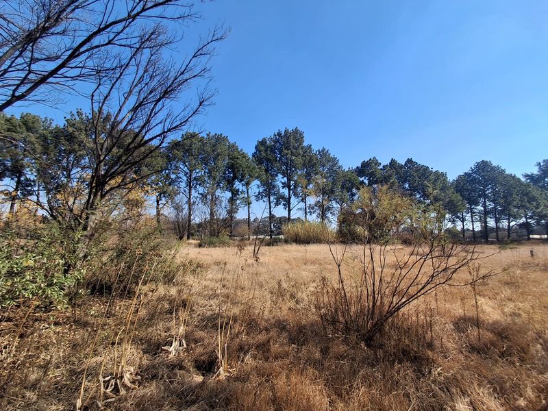 Prime 2Ha Investment Land in Unita Park, Vereenigin. - Photo 7