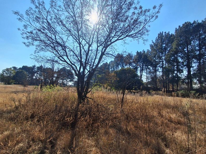Prime 2Ha Investment Land in Unita Park, Vereenigin. - Photo 6