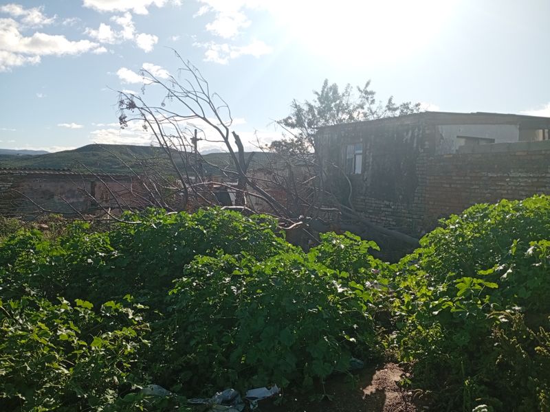 Vacant Land Residential For Sale In Uitenhage - Photo 2
