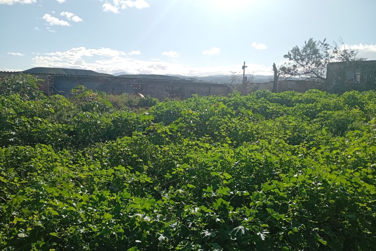 Vacant Land Residential For Sale In Uitenhage - Photo 5