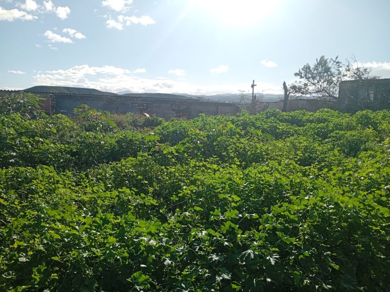 Vacant Land Residential For Sale In Uitenhage - Photo 5