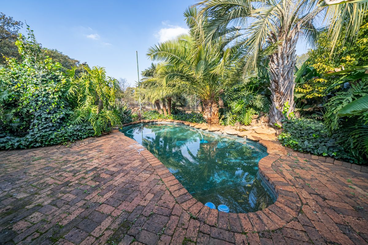 Lovely plot with pool & tennis court etc in the heart of Benoni AH(9530m2) - Photo 5