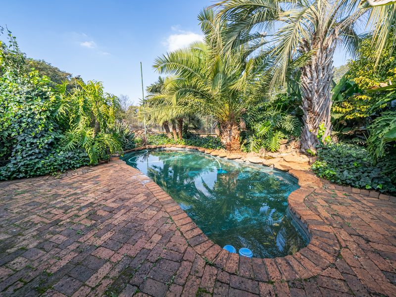 Lovely plot with pool & tennis court etc in the heart of Benoni AH(9530m2) - Photo 5