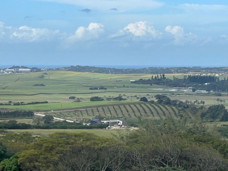 Helmsley Country Estate Rural  Ballito - Photo 10