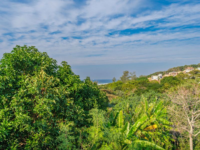 A scenic elevated view overlooking lush coastal vegetation with a distant ocean horizon and surrounding residential properties.