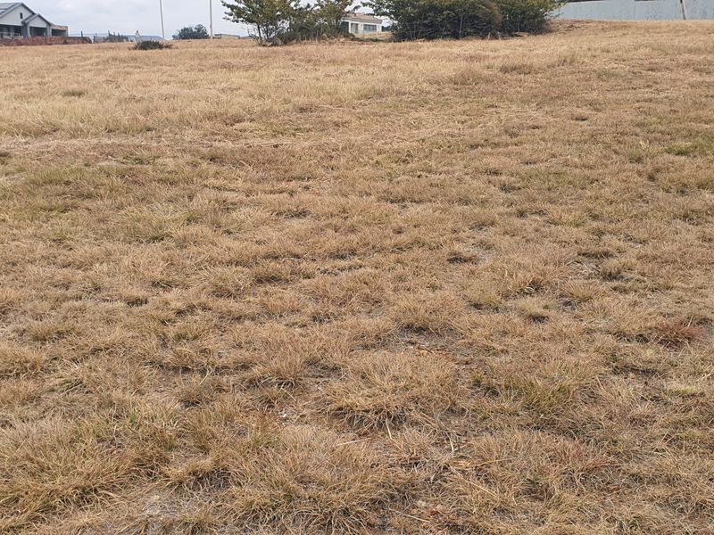 Vacant land - Photo 7