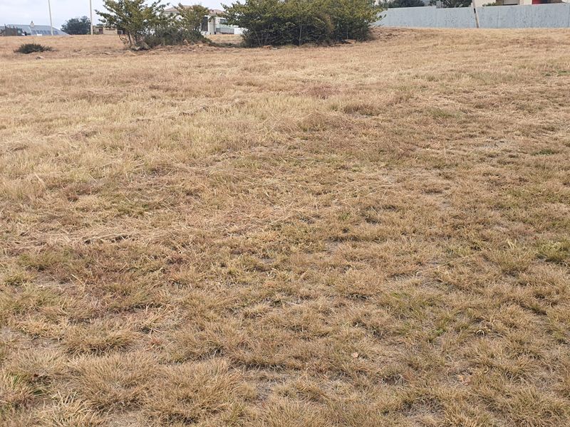 Vacant land - Photo 6