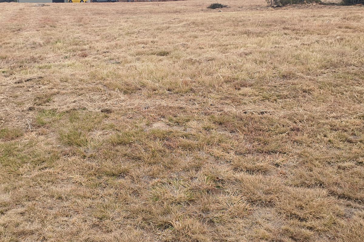 Vacant land - Photo 5