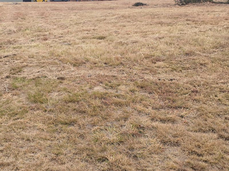 Vacant land - Photo 5