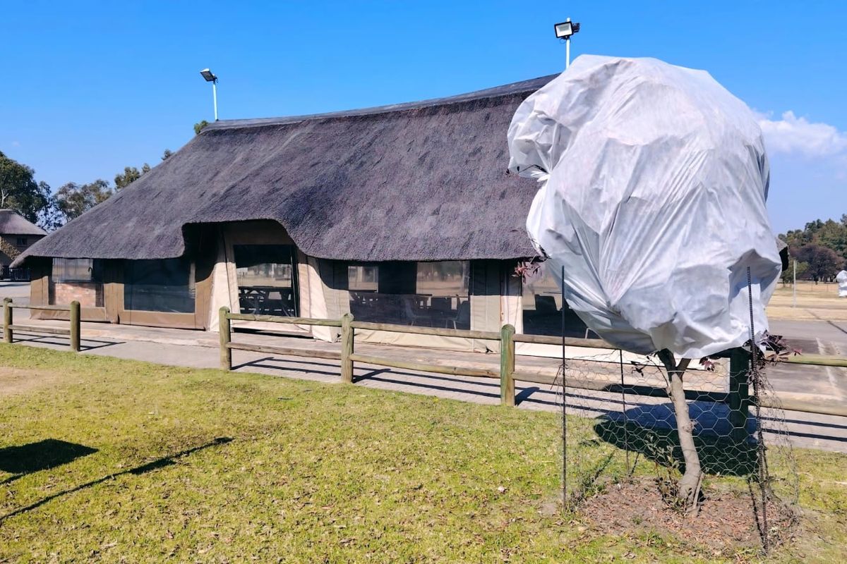 Exterior view of a townhouse featuring a traditional thatch roof, timber fencing, and outdoor floodlighting set within a landscaped garden area.