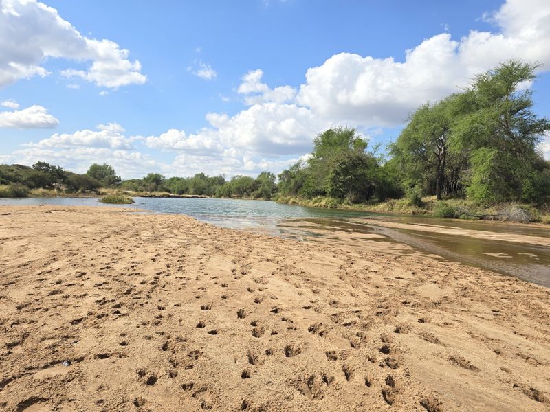 PRIME AGRICULTURAL FARM FOR SALE Mopani Area, Limpopo - Photo 1