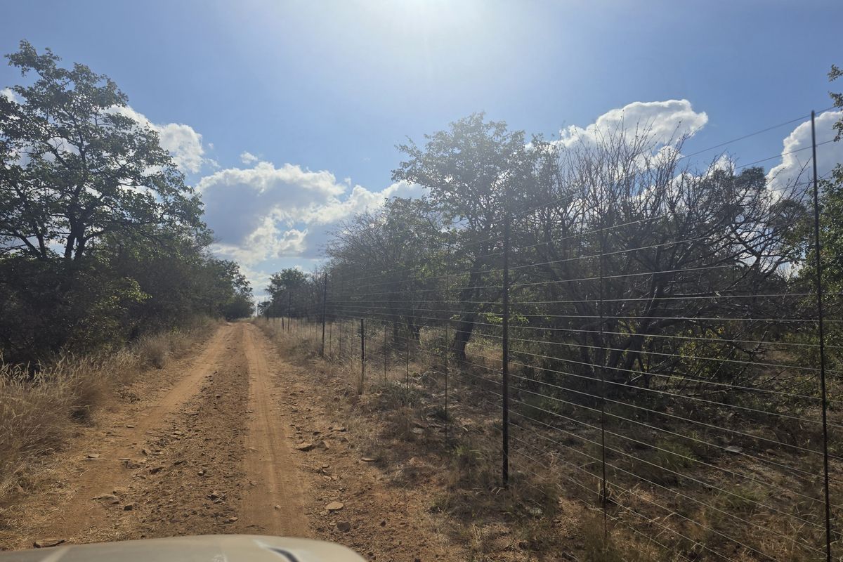 PRIME AGRICULTURAL FARM FOR SALE Mopani Area, Limpopo - Photo 5