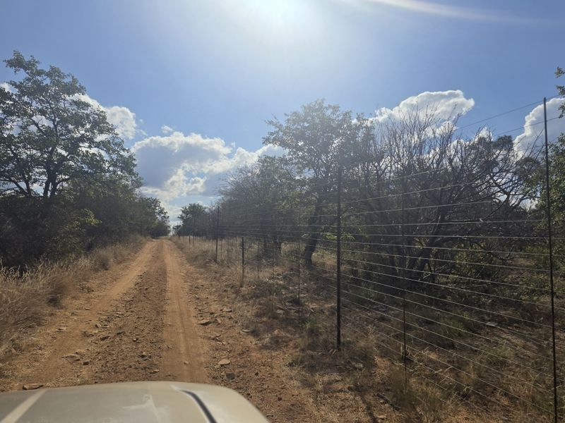 PRIME AGRICULTURAL FARM FOR SALE Mopani Area, Limpopo - Photo 5