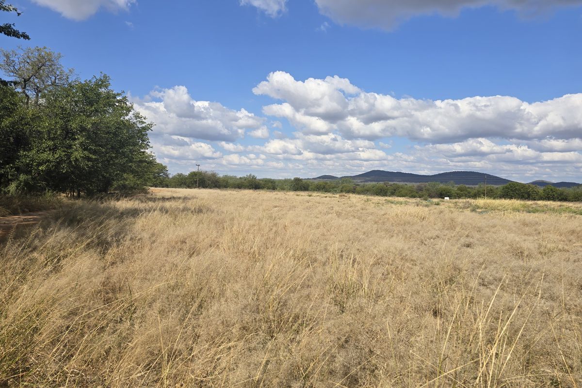 PRIME AGRICULTURAL FARM FOR SALE Mopani Area, Limpopo - Photo 4