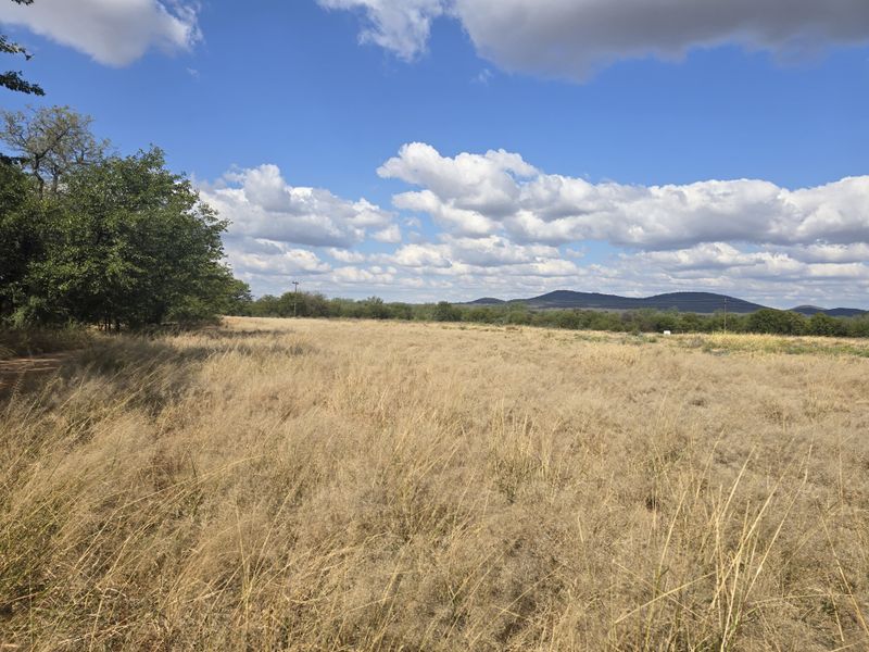 PRIME AGRICULTURAL FARM FOR SALE Mopani Area, Limpopo - Photo 4