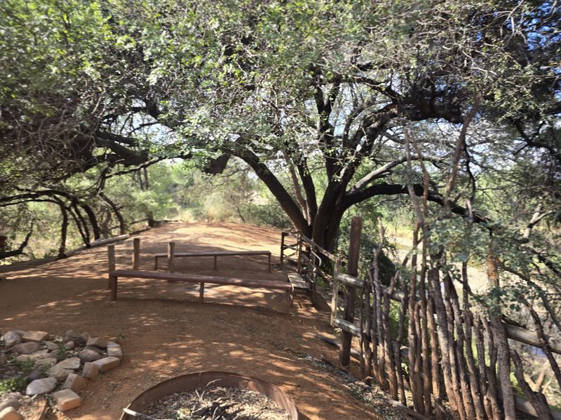 PRIME AGRICULTURAL FARM FOR SALE Mopani Area, Limpopo - Photo 10