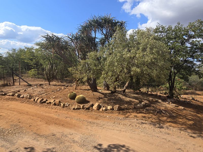 PRIME AGRICULTURAL FARM FOR SALE Mopani Area, Limpopo - Photo 9