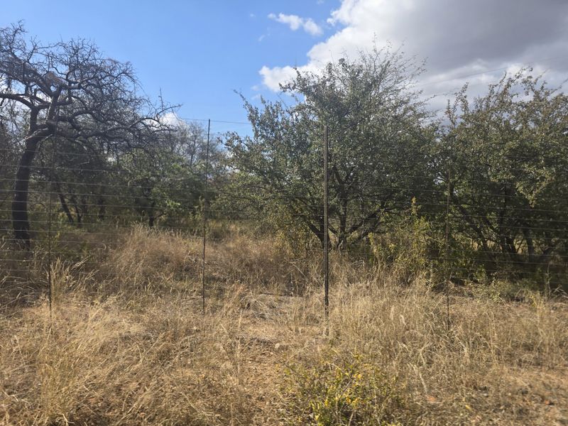 PRIME AGRICULTURAL FARM FOR SALE Mopani Area, Limpopo - Photo 6