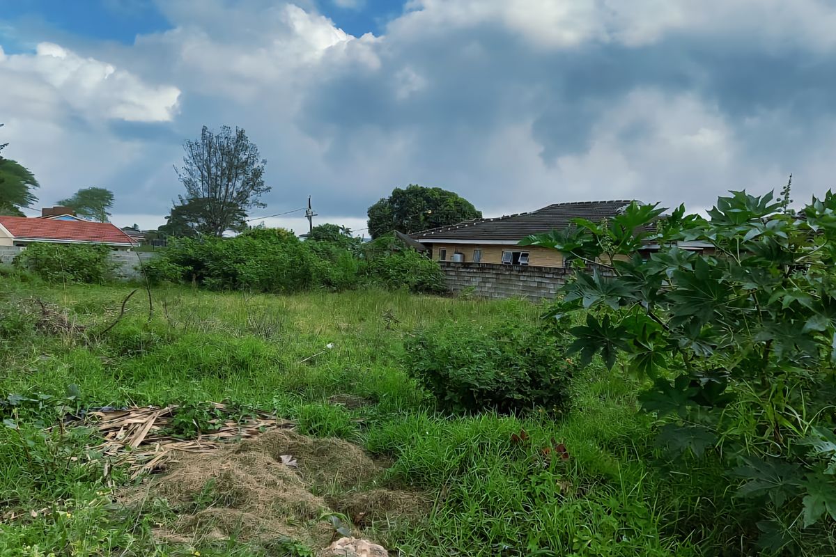Vacant Land For Sale - Photo 5